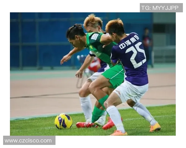 足球球星范闪耀绿茵场谱写荣耀传奇新篇章